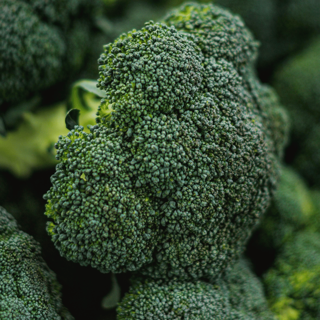 Broccoli