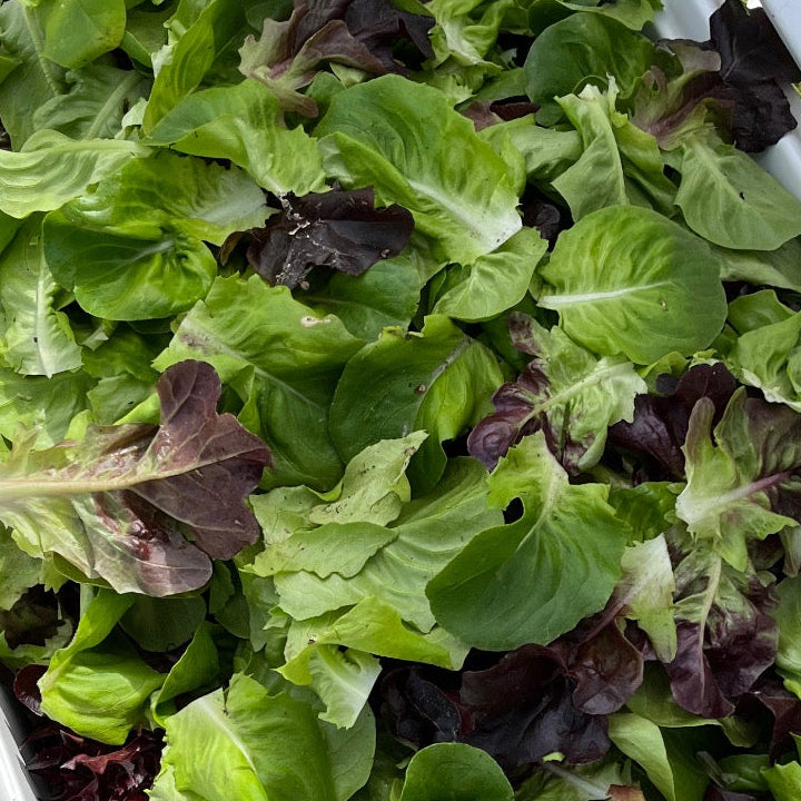 Spring Mix