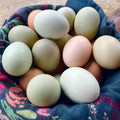 Farm Fresh Eggs