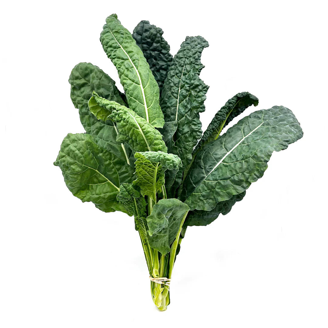 Toscano (Dinosaur) Kale