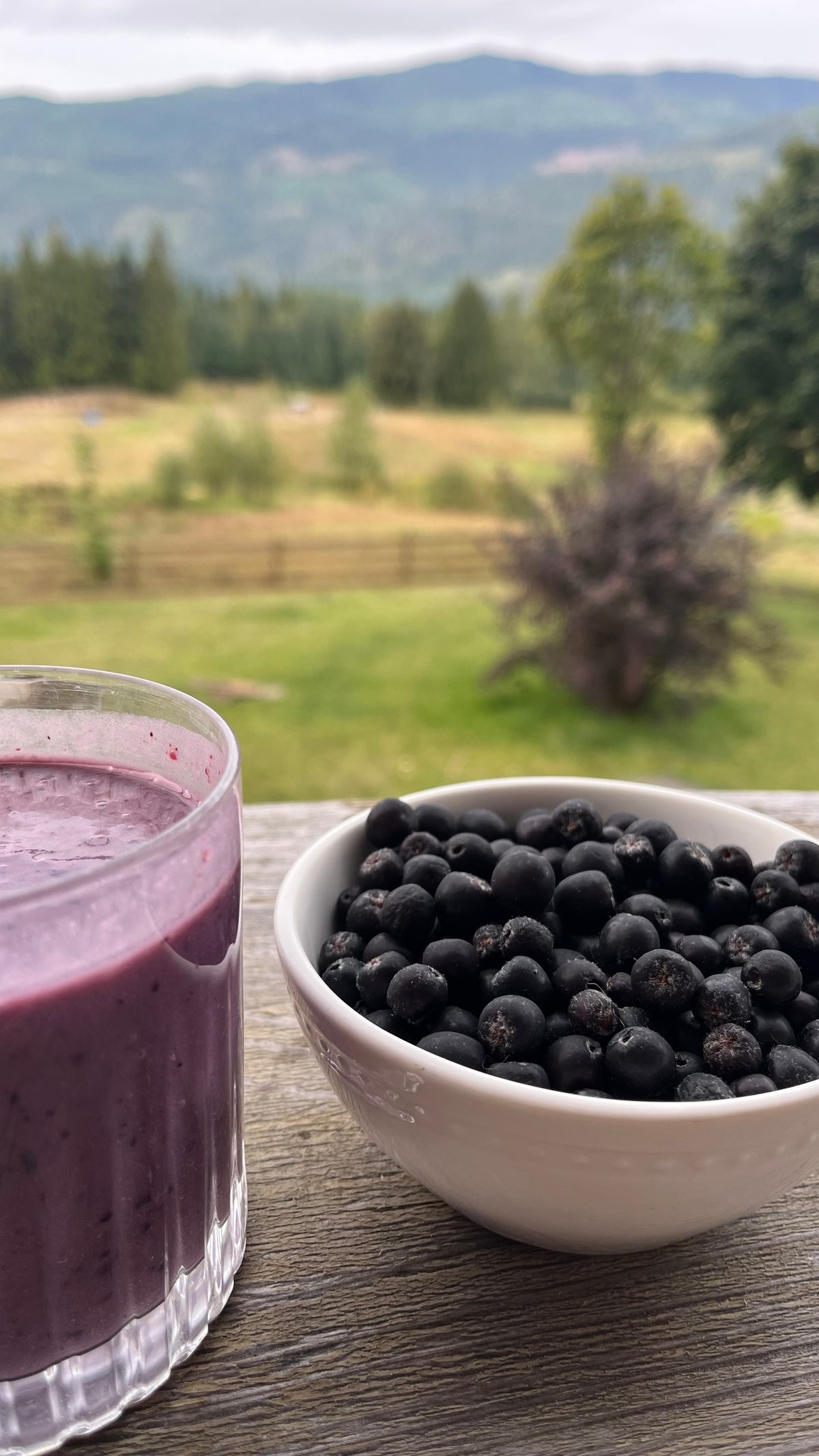 Aronia Berries