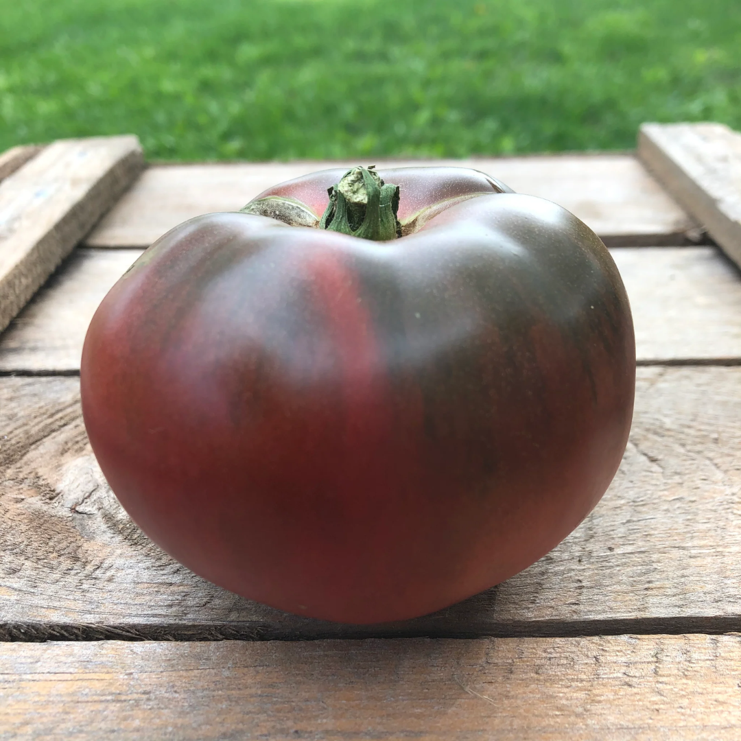 Heirloom Tomato - Black Krim