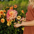 Farm Bouquet